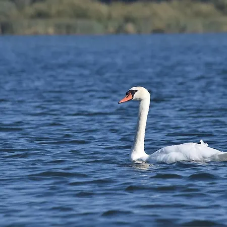 Het Zonnestraaltje - Dichtbij Natuurgebied Biesbosch Διαμέρισμα