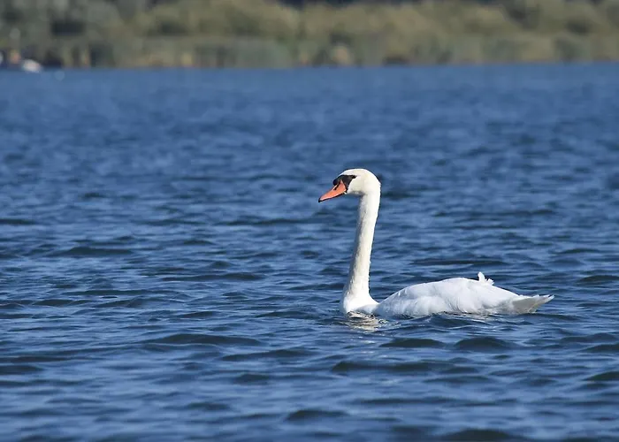 Het Zonnestraaltje - Dichtbij Natuurgebied Biesbosch Διαμέρισμα