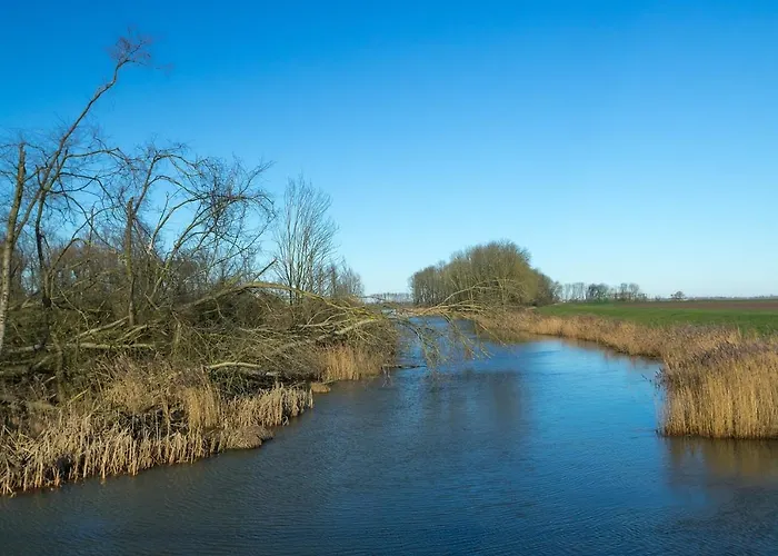 Het Zonnestraaltje - Dichtbij Natuurgebied Biesbosch * Werkendam